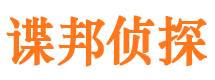 拉孜市调查公司